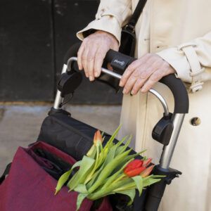 CARRO DE COMPRA CON ASIENTO - Imagen 5